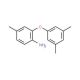 2-(3,5-Dimethylphenoxy)-4-methylaniline - chemical structure image