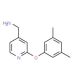 [2-(3,5-dimethylphenoxy)pyridin-4-yl]methylamine (CAS 953735-45-0) - chemical structure image