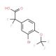 2-(3-Bromo-4-(trifluoromethoxy)phenyl)-2,2-difluoroacetic acid (CAS 1133116-05-8) - chemical structure image