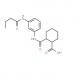 2-{[3-(Butyrylamino)anilino]-carbonyl}cyclohexanecarboxylic acid - chemical structure image