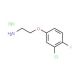 2-(3-Chloro-4-fluorophenoxy)ethylaminehydrochloride - chemical structure image