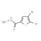 2,3-Dibromo-5-thiophenecarboxylic acid hydrazide (CAS 171851-25-5) - chemical structure image
