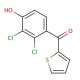 (2,3-Dichloro-4-oxyphenyl)-2-thienylmethanone (CAS 40180-03-8) - chemical structure image