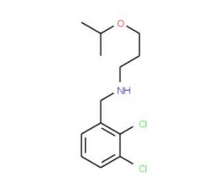 (2,3-Dichloro-benzyl)-(3-isopropoxy-propyl)-amine - chemical structure image