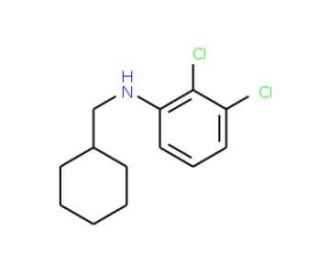 2,3-Dichloro-N-(cyclohexylmethyl)aniline - chemical structure image