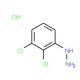 2,3-Dichlorophenylhydrazine hydrochloride (CAS 21938-47-6) - chemical structure image