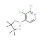 2,3-Dichloropyridine-4-boronic acid pinacol ester (CAS 1073353-78-2) - chemical structure image