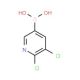 2,3-Dichloropyridine-5-boronic acid (CAS 1072944-15-0) - chemical structure image