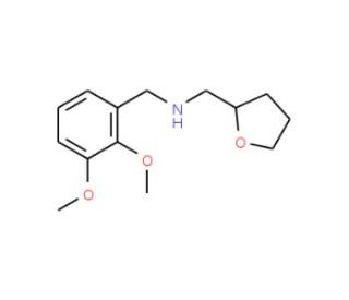 (2,3-Dimethoxy-benzyl)-(tetrahydro-furan-2-yl-methyl)-amine - chemical structure image