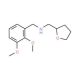 (2,3-Dimethoxy-benzyl)-(tetrahydro-furan-2-yl-methyl)-amine - chemical structure image