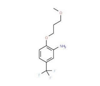 2-(3-Methoxypropoxy)-5-(trifluoromethyl)aniline - chemical structure image