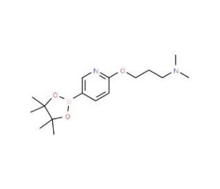 2-(3-N,N-Dimethylamino-propoxy)pyridine-5-boronic acid, pinacol ester (CAS 918643-56-8) - chemical structure image