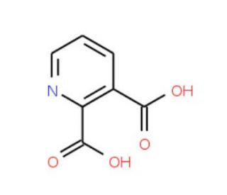2,3-Pyridinedicarboxylic acid (CAS 339155-13-4) - chemical structure image