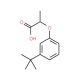 2-(3-tert-butylphenoxy)propanoic acid - chemical structure image