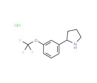 2-(3-Trifluoromethoxy-phenyl)-pyrrolidine hydrochloride - chemical structure image