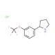 2-(3-Trifluoromethoxy-phenyl)-pyrrolidine hydrochloride - chemical structure image