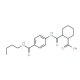2-({4-[(Butylamino)carbonyl]anilino}carbonyl)-cyclohexanecarboxylic acid - chemical structure image