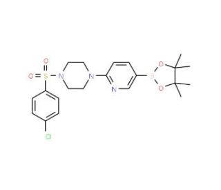 2-[4-(4-Chlorophenylsulfonyl)piperazin-1-yl]pyridine-5-boronic acid, pinacol ester (CAS 1073354-20-7) - chemical structure im