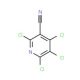 2,4,5,6-Tetrachloro-nicotinonitrile (CAS 17824-82-7) - chemical structure image