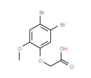 2-(4,5-Dibromo-2-methoxyphenoxy)acetic acid - chemical structure image