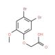 2-(4,5-Dibromo-2-methoxyphenoxy)acetic acid - chemical structure image