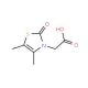 2-(4,5-dimethyl-2-oxo-2,3-dihydro-1,3-thiazol-3-yl)acetic acid - chemical structure image