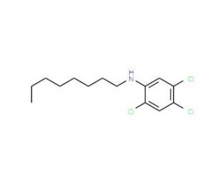 2,4,5-Trichloro-N-octylaniline - chemical structure image