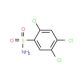 2,4,5-Trichlorobenzenesulfonamide (CAS 29092-27-1) - chemical structure image