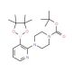 2-(4-Boc-1-piperazinyl)pyridine-3-boronic acid pinacol ester (CAS 1073354-42-3) - chemical structure image