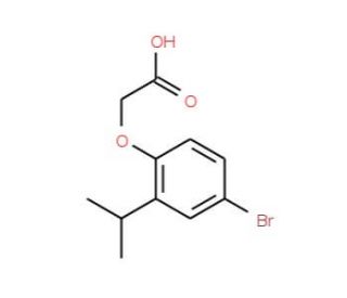 2-(4-Bromo-2-isopropylphenoxy)acetic acid - chemical structure image