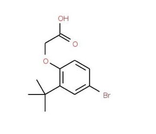 2-[4-Bromo-2-(tert-butyl)phenoxy]acetic acid - chemical structure image