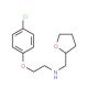 [2-(4-Chloro-phenoxy)-ethyl]-(tetrahydro-furan-2-ylmethyl)-amine - chemical structure image