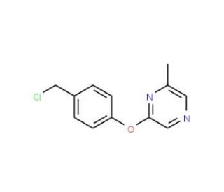 2-[4-(Chloromethyl)phenoxy]-6-methylpyrazine (CAS 921939-00-6) - chemical structure image