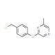 2-[4-(Chloromethyl)phenoxy]-6-methylpyrazine (CAS 921939-00-6) - chemical structure image