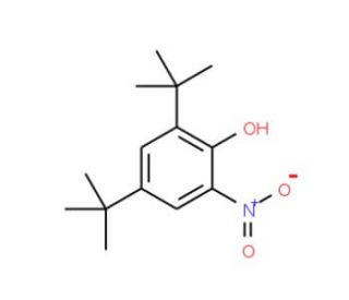 2,4-di-tert-butyl-6-nitrophenol (CAS 20039-94-5) - chemical structure image