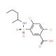 2,4-dichloro-5-{[(1-methylbutyl)amino]sulfonyl}benzoic acid - chemical structure image