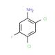 2,4-Dichloro-5-fluoroanline (CAS 348-64-1) - chemical structure image