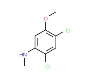 2,4-Dichloro-5-methoxy-N-methylaniline (CAS 1072945-55-1) - chemical structure image
