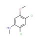 2,4-Dichloro-5-methoxy-N-methylaniline (CAS 1072945-55-1) - chemical structure image