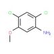 2,4-Dichloro-5-methoxyaniline (CAS 98446-49-2) - chemical structure image