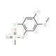 2,4-Dichloro-5-methoxyphenyl methanesulfonate (CAS 1065074-74-9) - chemical structure image
