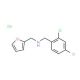 (2,4-Dichloro-benzyl)-furan-2-ylmethyl-amine hydrochloride - chemical structure image