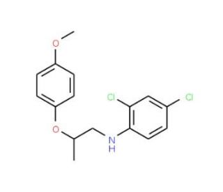 2,4-Dichloro-N-[2-(4-methoxyphenoxy)propyl]aniline - chemical structure image
