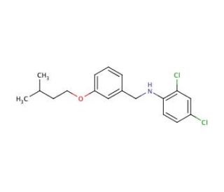 2,4-Dichloro-N-[3-(isopentyloxy)benzyl]aniline - chemical structure image
