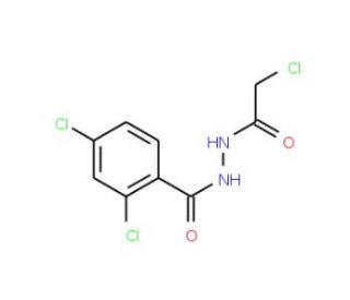 2,4-Dichloro-N&prime;-(2-chloroacetyl)-benzenecarbohydrazide - chemical structure image