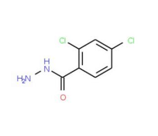 2,4-Dichlorobenzhydrazide (CAS 5814-06-2) - chemical structure image