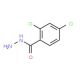 2,4-Dichlorobenzhydrazide (CAS 5814-06-2) - chemical structure image