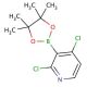 2,4-Dichloropyridine-3-boronic acid pinacol ester (CAS 1257651-49-2) - chemical structure image