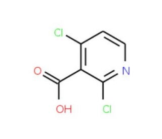 2,4-Dichloropyridine-3-carboxylic acid (CAS 262423-77-8) - chemical structure image