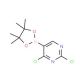 2,4-Dichloropyrimidine-5-boronic acid pinacol ester (CAS 1073354-24-1) - chemical structure image